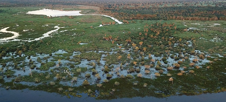 Especialistas destacam problema de abastecimento de água na região do Pantanal 1 pantanal